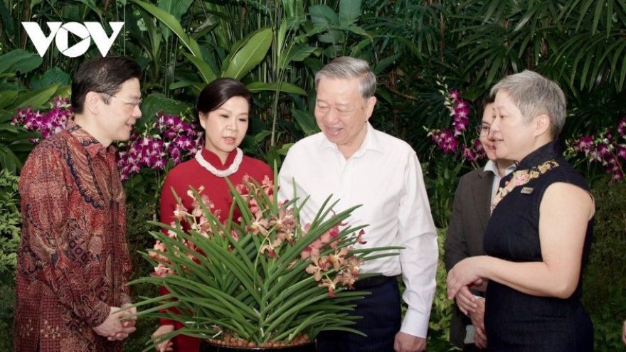 Singapore names new orchid after Party chief To Lam and his spouse